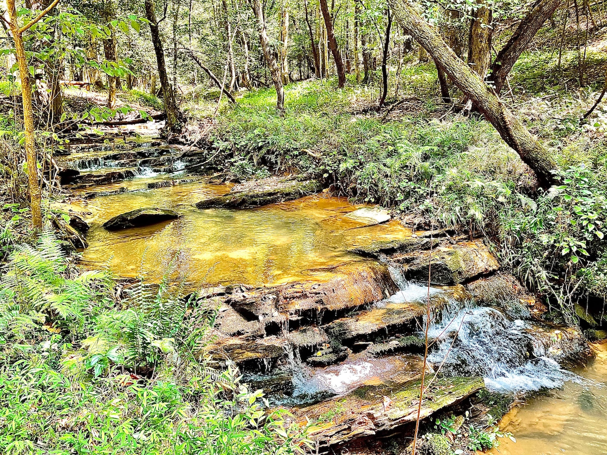 Ky Creek Cabin - Dahlonega 's Hidden Gem, Magical!