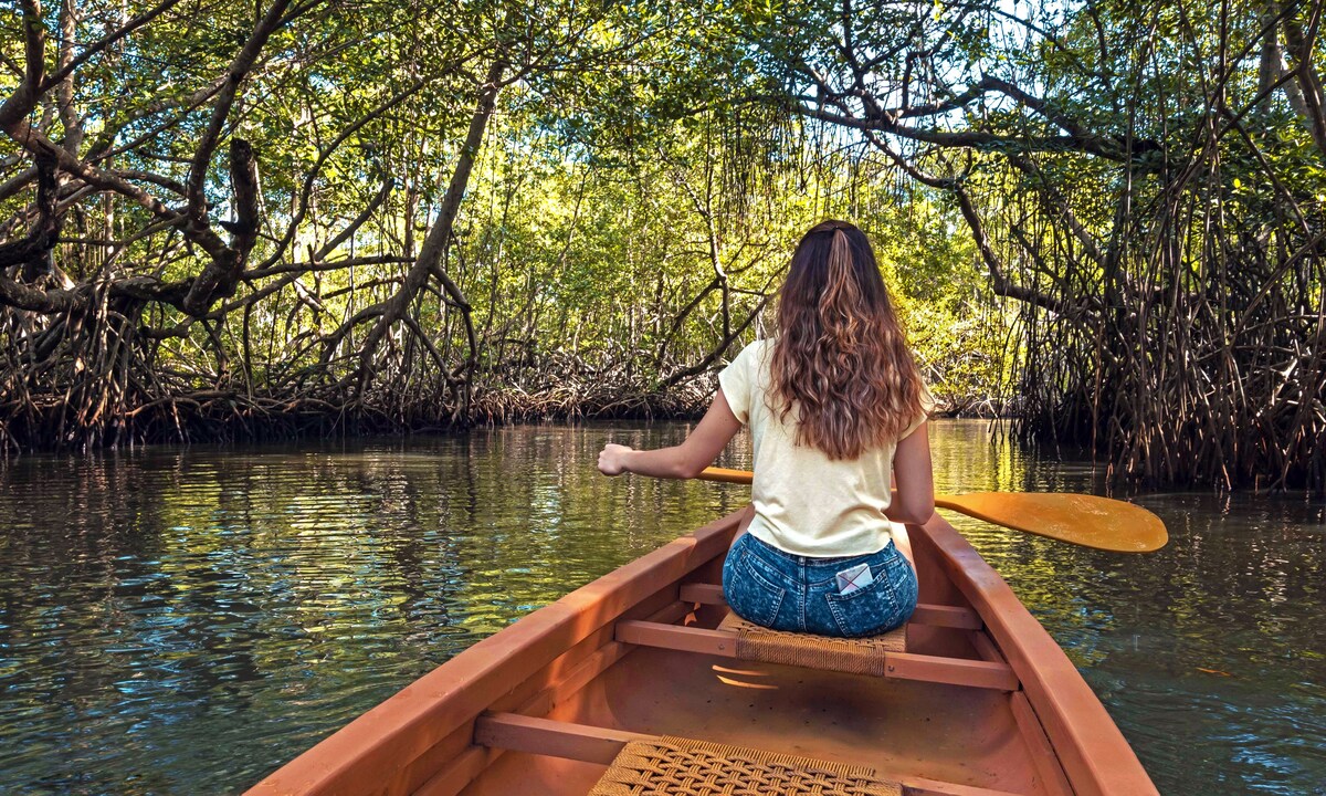 Room and Tour to Los Haitises NP for 2 people