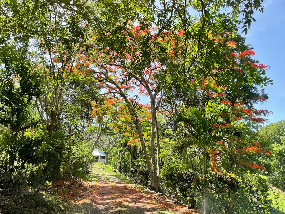 Hope Cottage, Bequia, St Vincent & The Grenadines