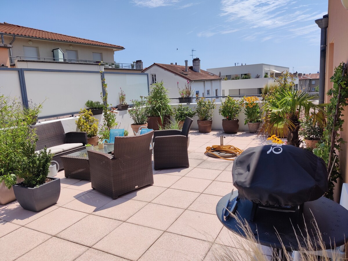 Appartement avec grande terrasse en centre ville