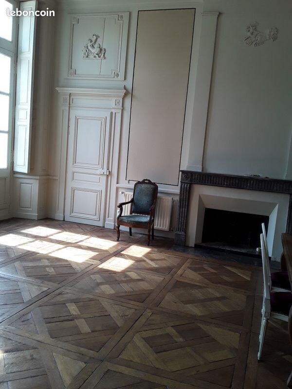 appartement situe dans tres bel hotel particuliers