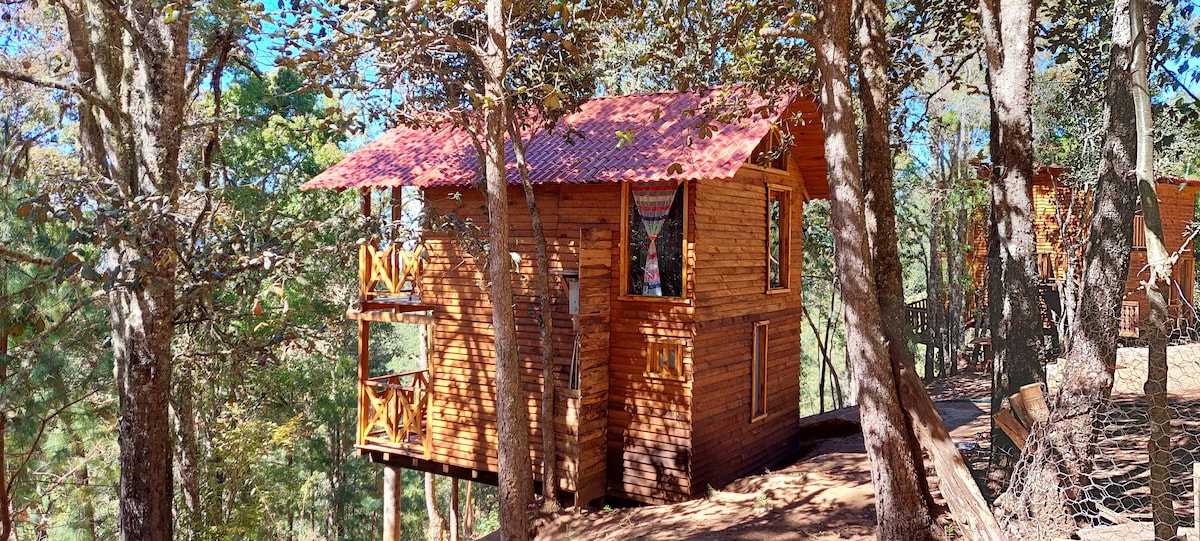 「San Jose del Pacifico 3森林中的小木屋」。