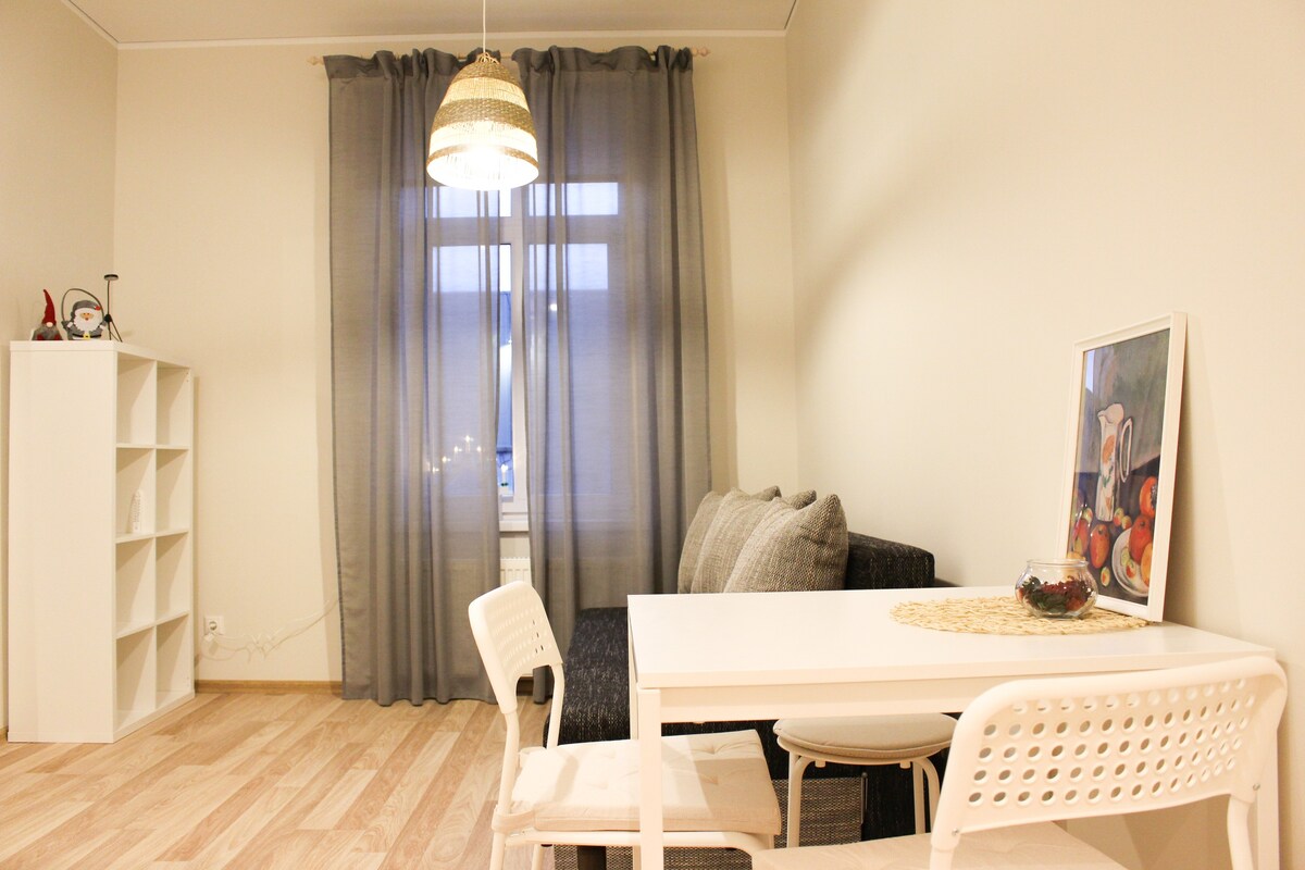 Комфортные просторные апартаменты в Риге