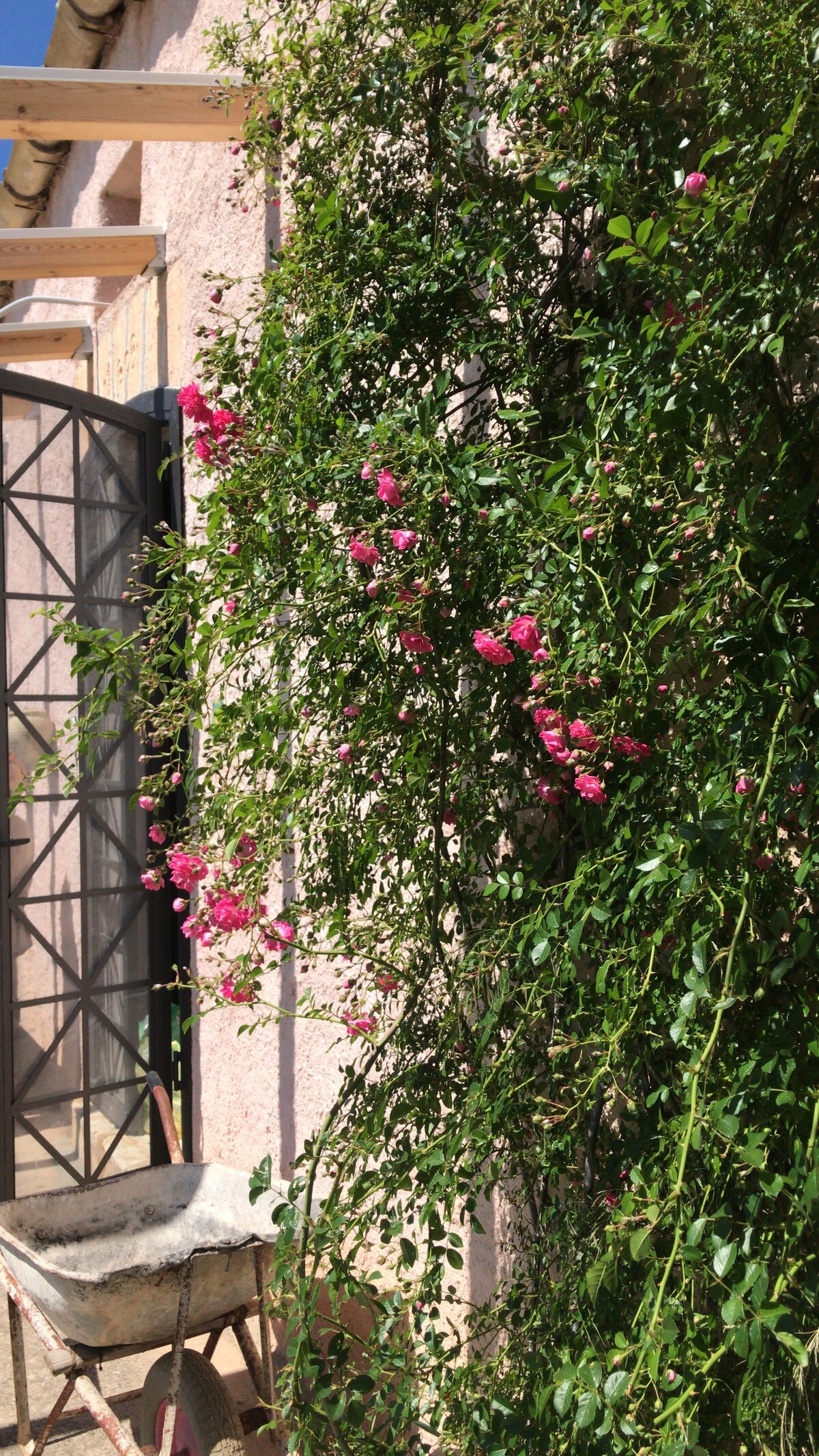 The Pink Pedrera at Scopello