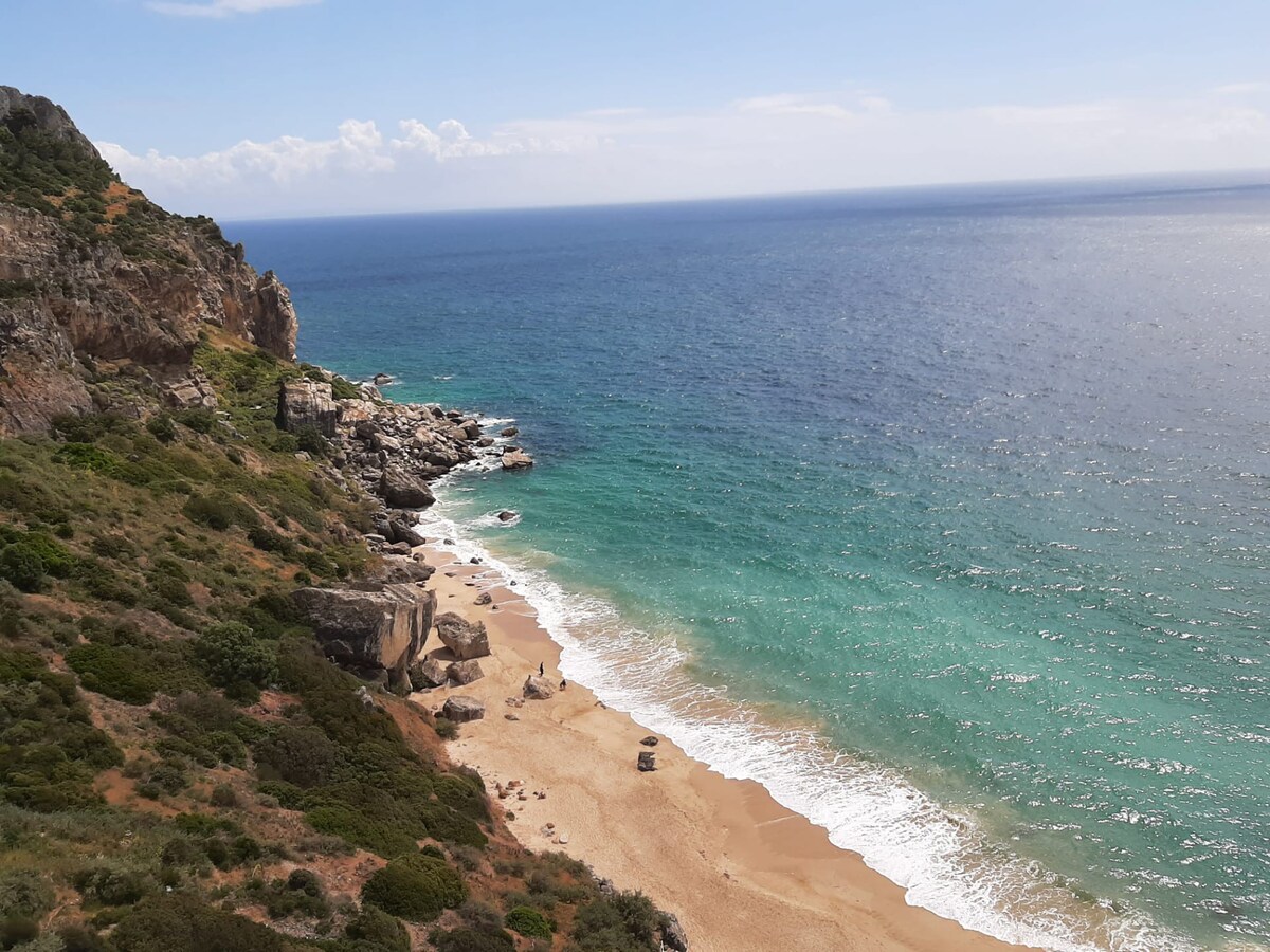 东塞辛布拉（ East Sesimbra ）很酷的地方