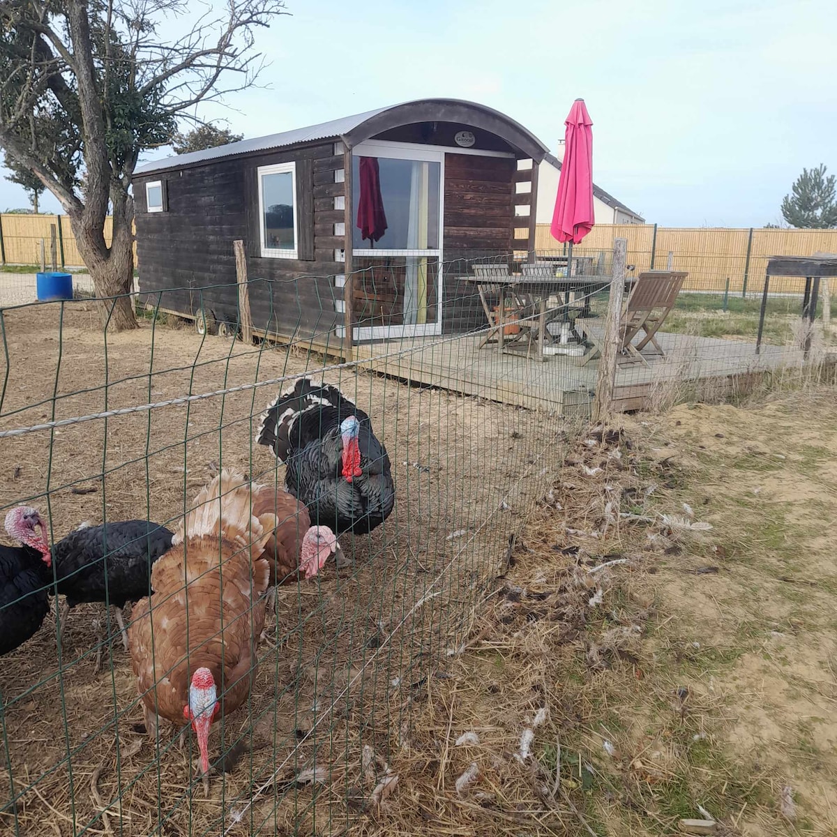 Gîte Roulotte tout équipé au milieu des animaux