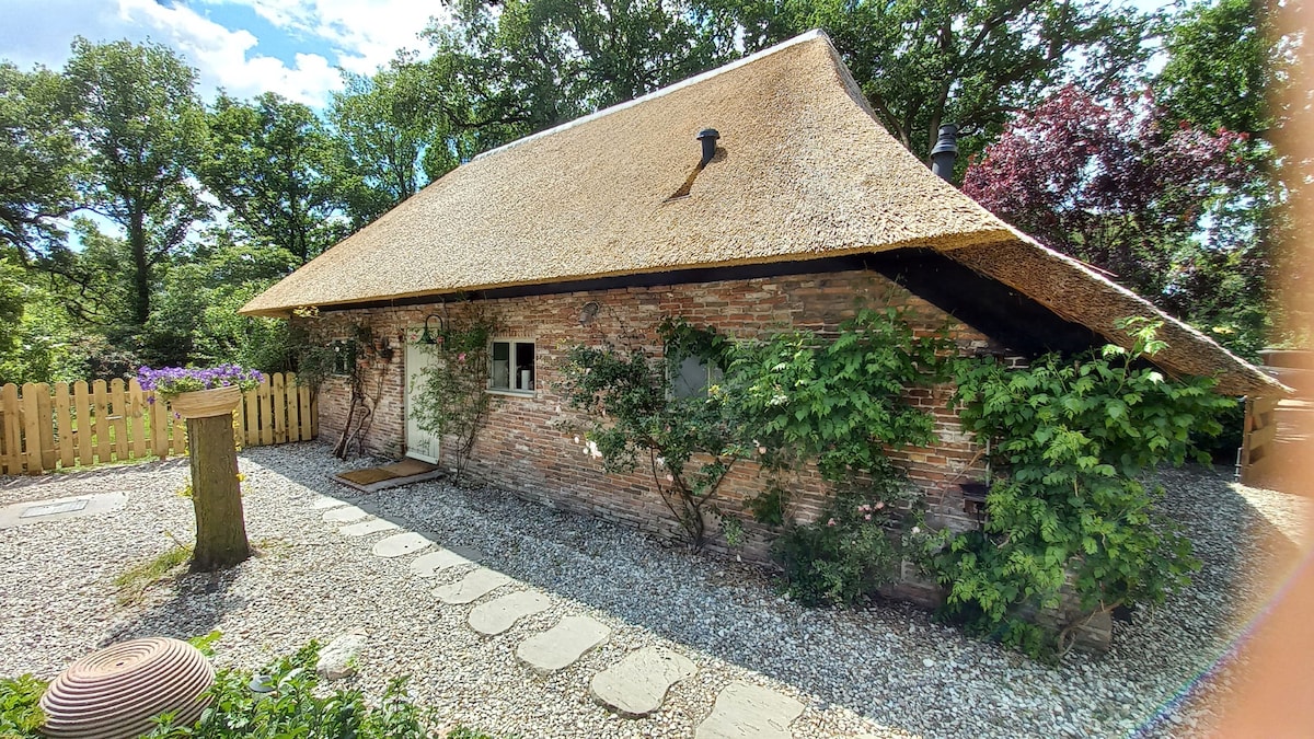 小屋，装饰时尚，茅草小屋