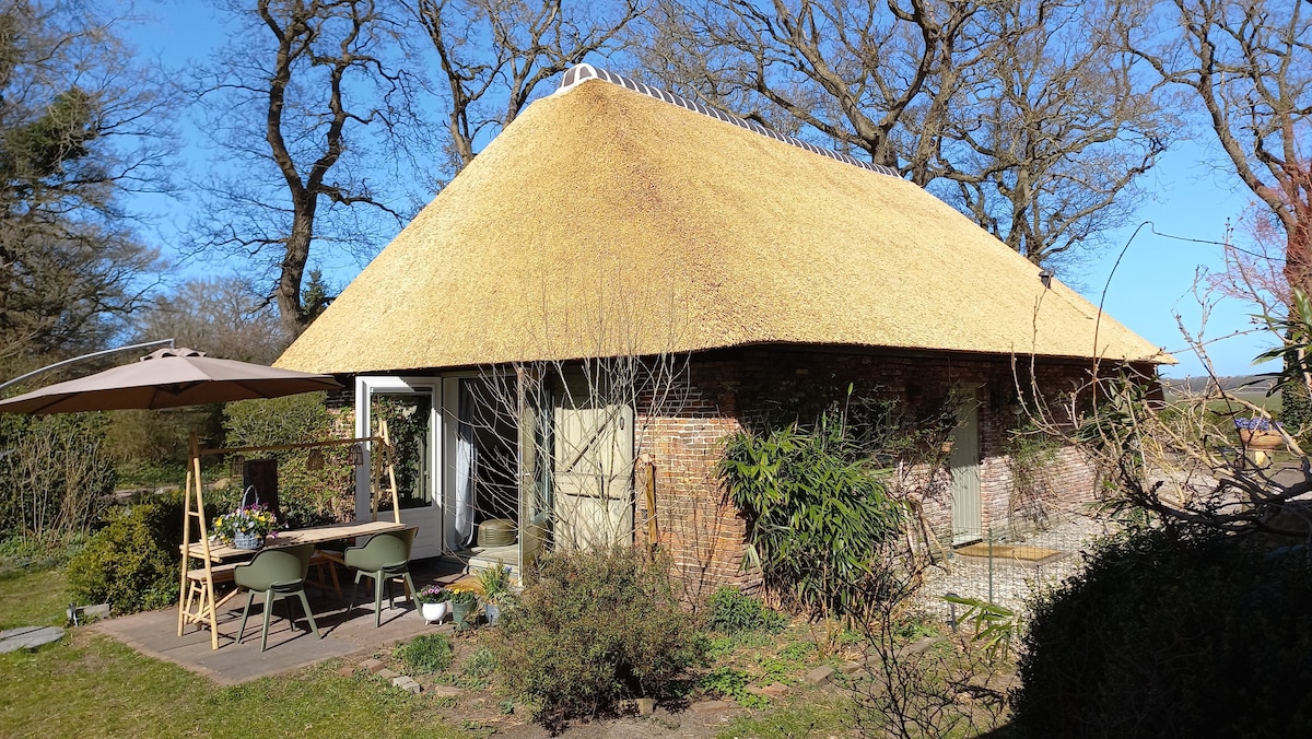 小屋，装饰时尚，茅草小屋