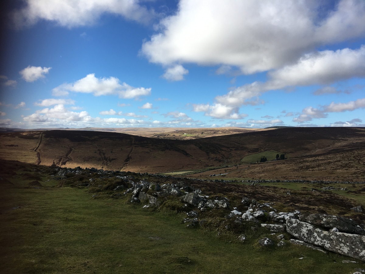 Dartmoor views, large garden with open fire.