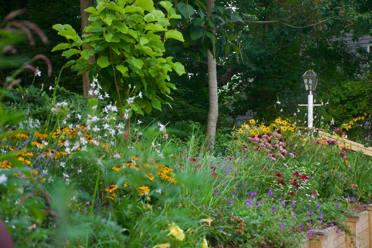 Sunny Wellfleet Cottage