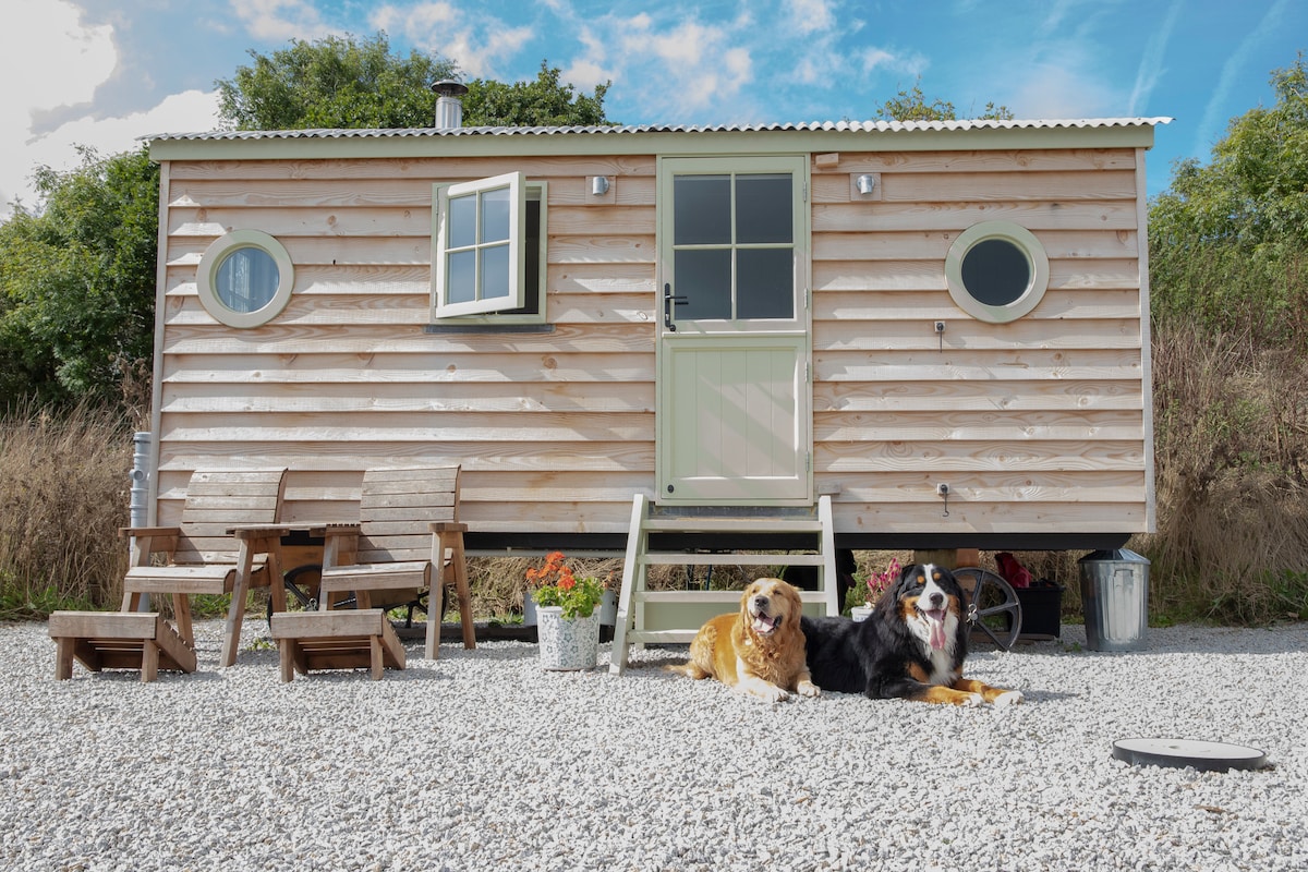 Private shepherd's hut + log burner, pets welcome