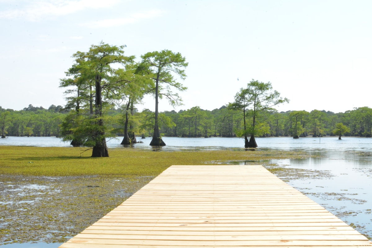 Caddo Lake Jefferson Karnack不确定的TX Vivian