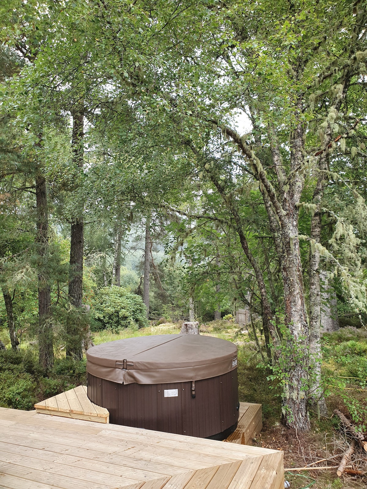 带热水浴缸的木屋，被大自然包围