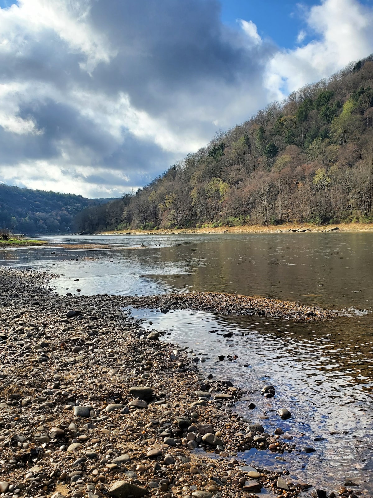 Cheerful 3-Bedroom Cabin - Allegheny River Access