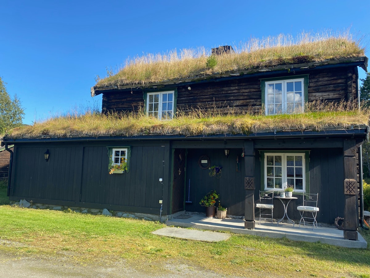 Kårstuggu -位于奥普达尔（ Oppdal ）小农场的温馨房源