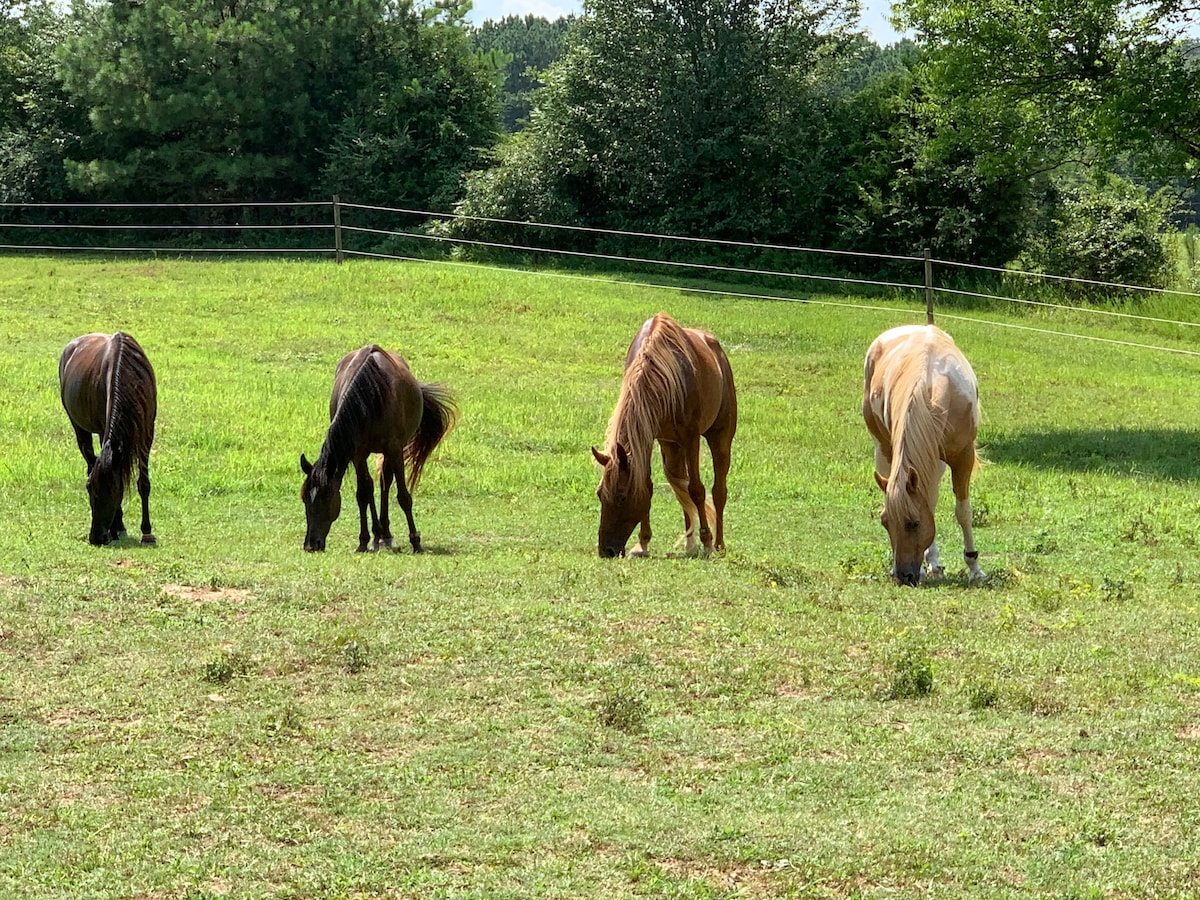 Farmstay w/Creek, Pony Rides; Near UNA