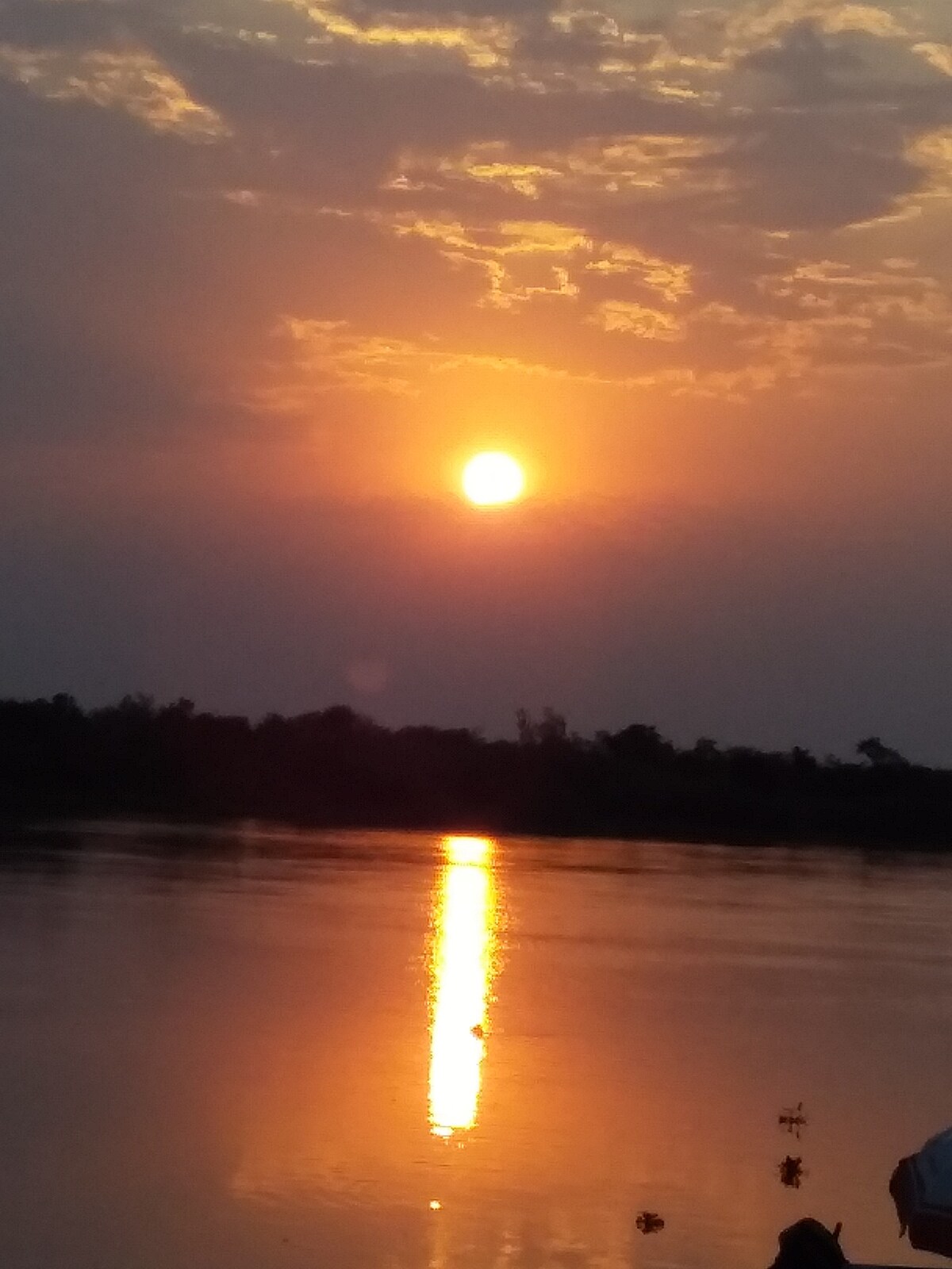 Pantanal Poconé Quarto Duplo II