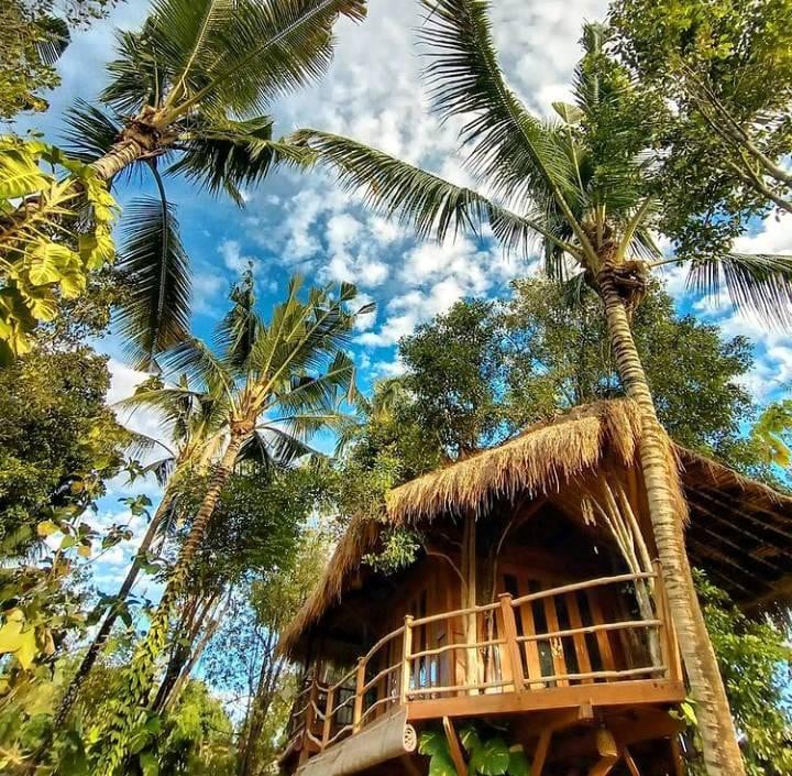 Dreamy Eco Tree House by 7 Waterfalls