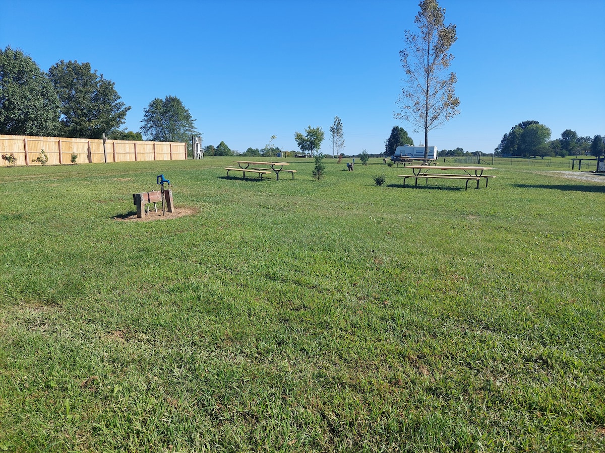 Noble Pine Campground Site 3 near Mammoth Cave