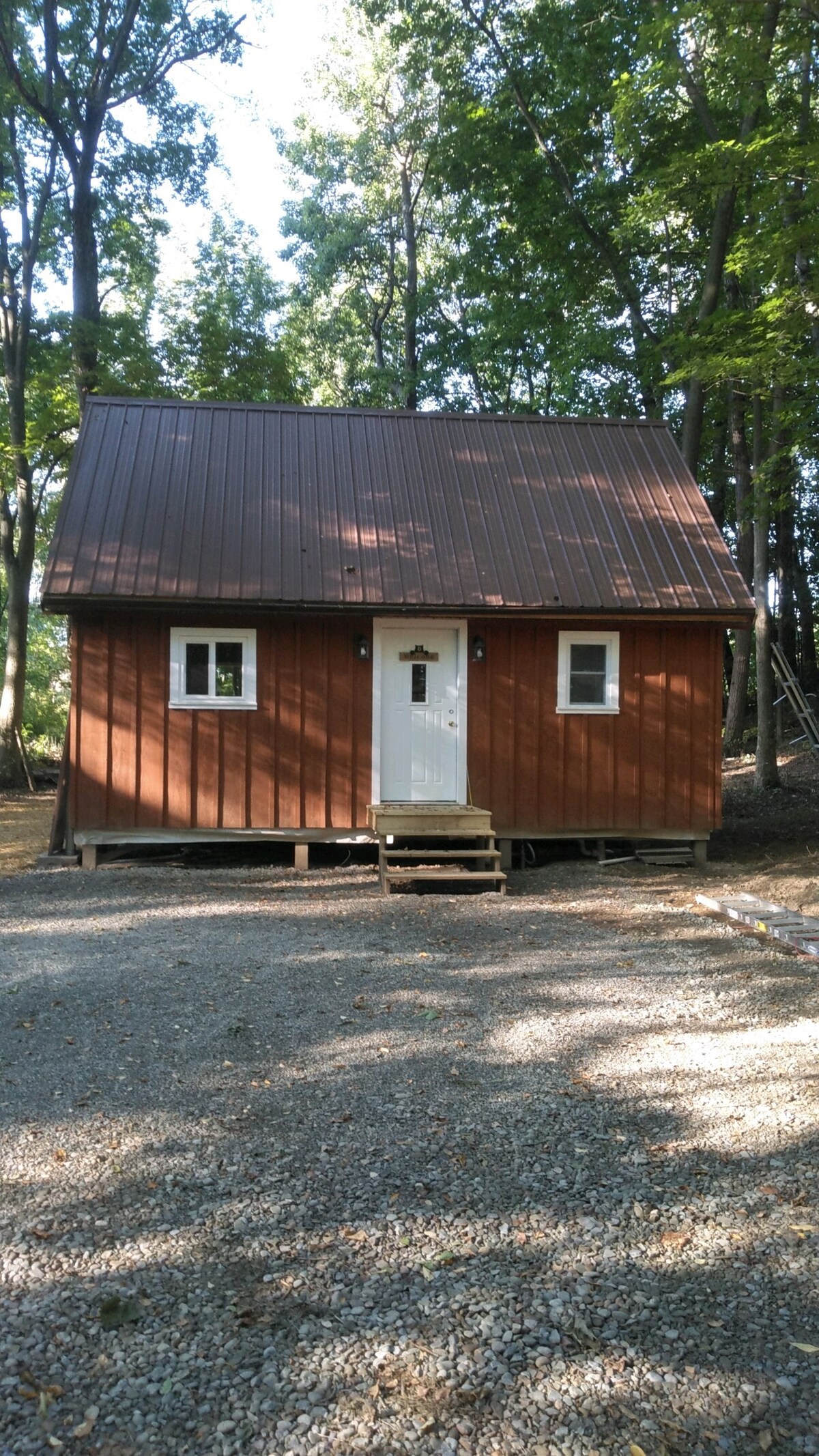 Livingston cabin