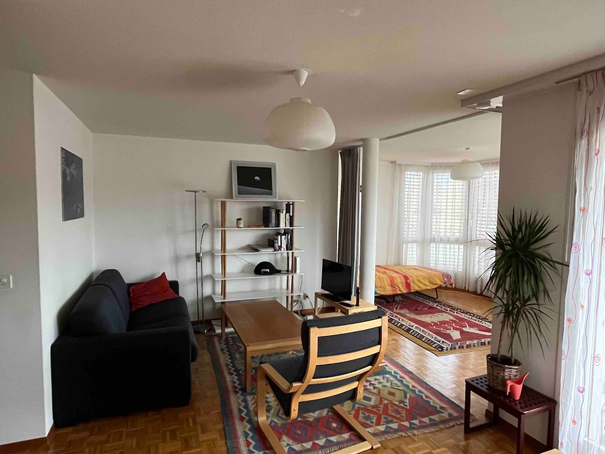2个半房间的公寓，靠近EPFL