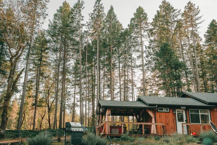 格兰茨帕斯（Grants Pass）的民宿