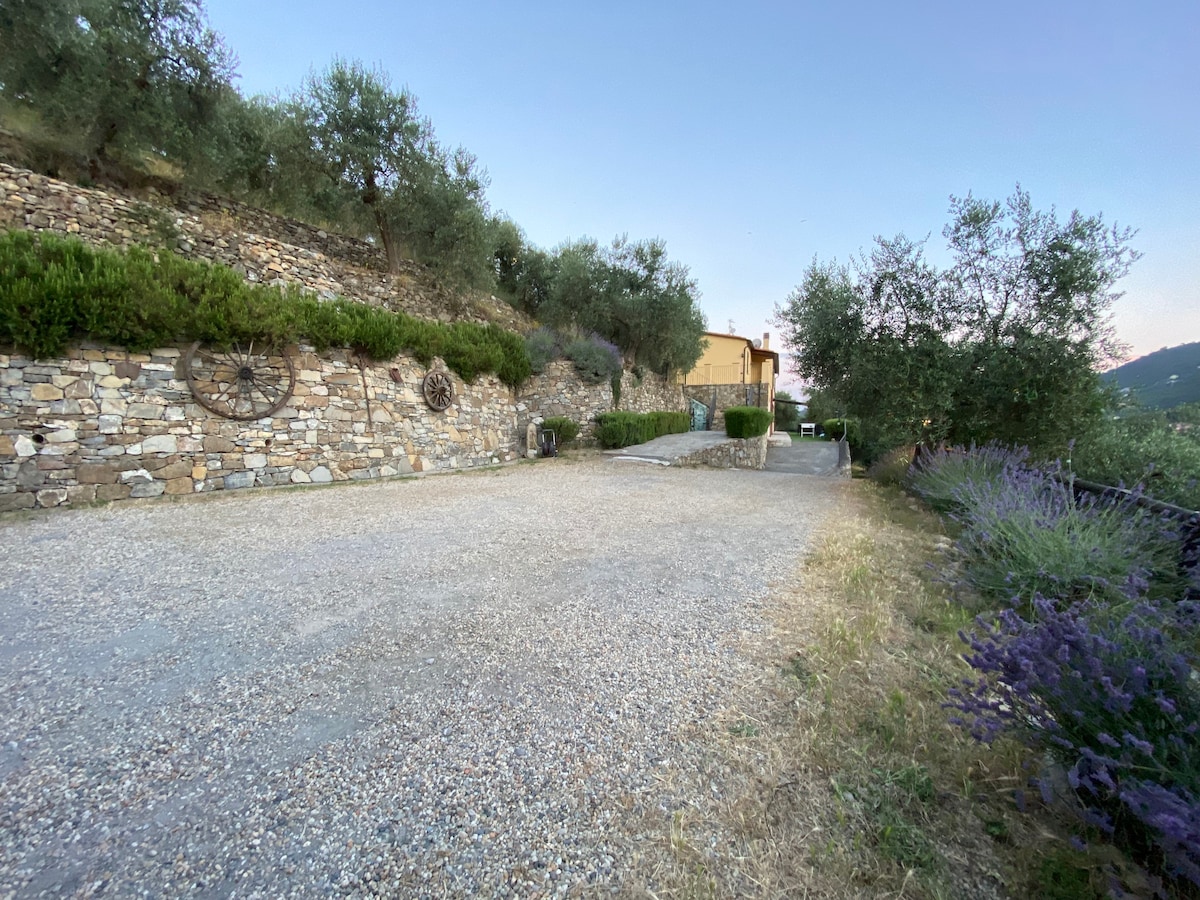 Villa per gruppi con giardino e piscina privata