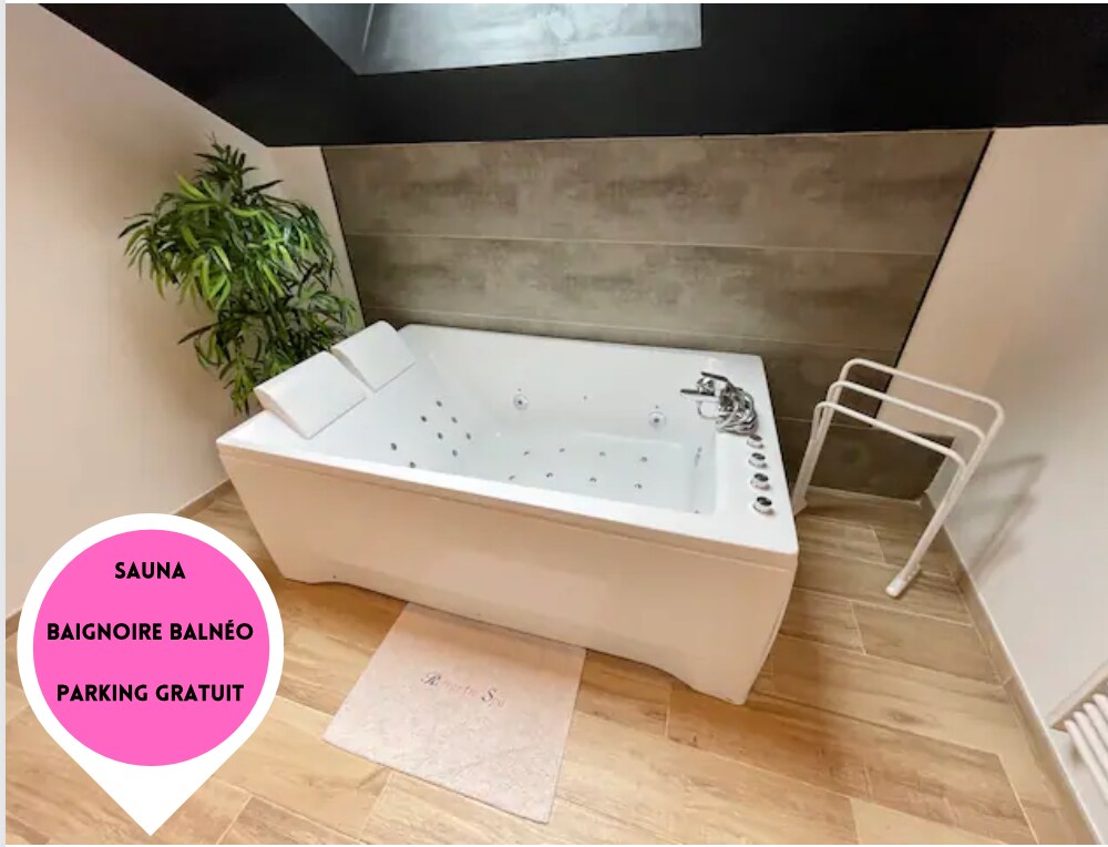 Superbe appartement jacuzzi beaune centre