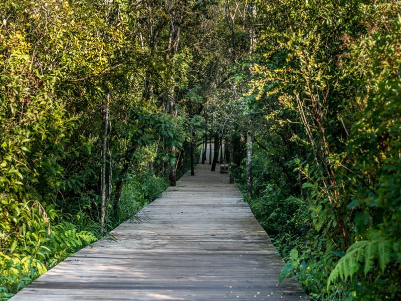 Casa de campo bem familiar e em um lugar incrível!