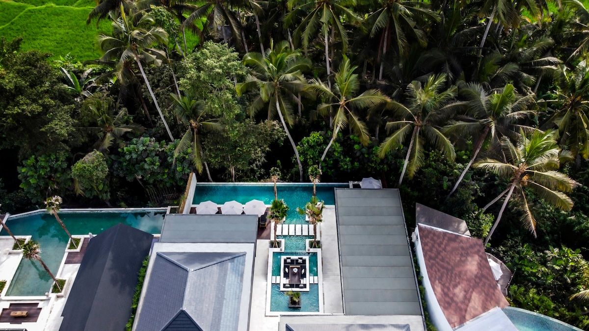 现代时尚的5卧泳池别墅，可欣赏郁郁葱葱的丛林景观