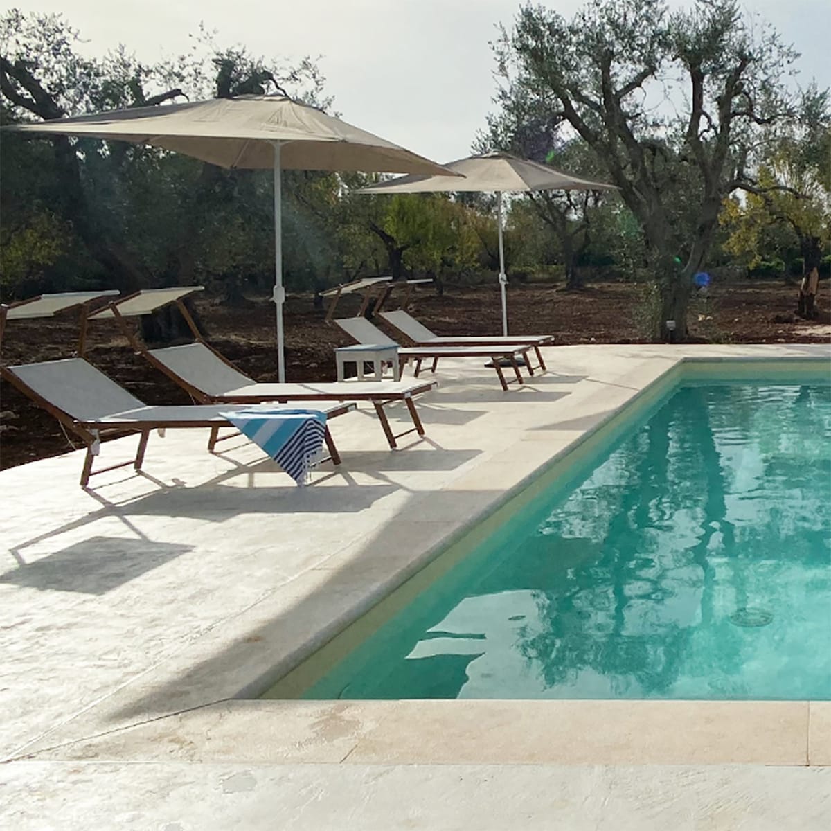 Trullo fiorone, modern comfort, garden and pool