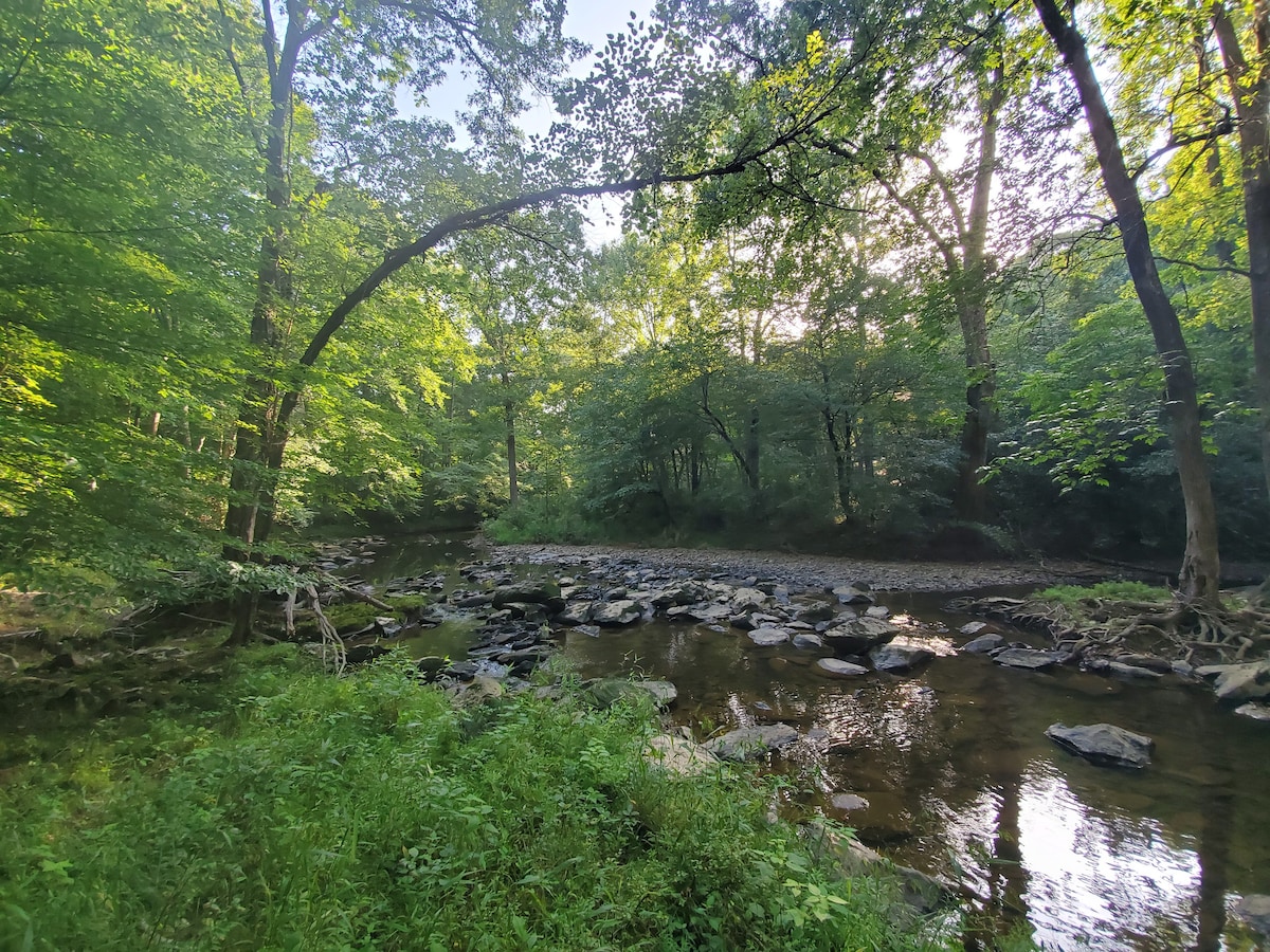 僻静的树屋-距离Terrells Creek占地27英亩