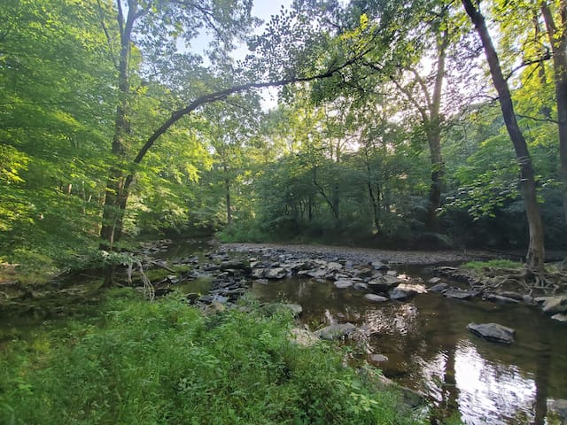 匹兹波罗(Pittsboro)的民宿