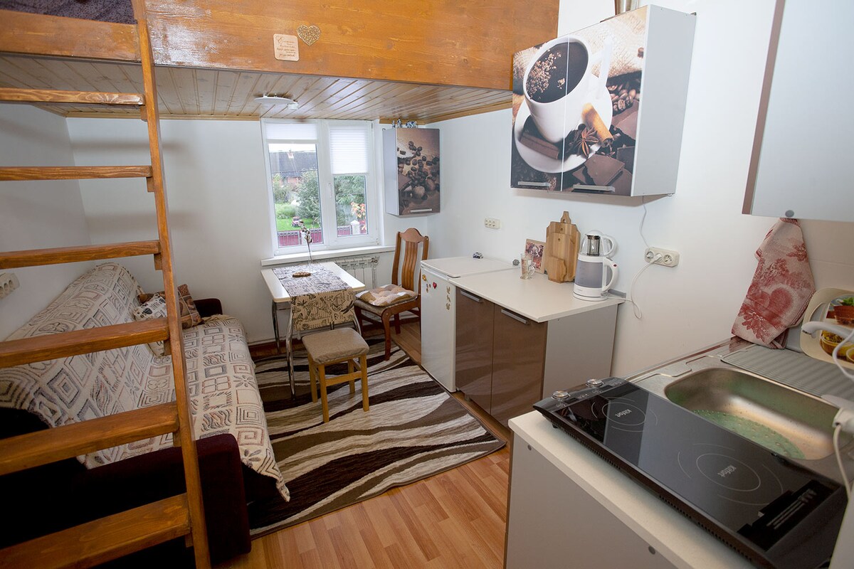 nosovo · 整套酒店式公寓 · sheremetyevo机场附近的双层单间公寓