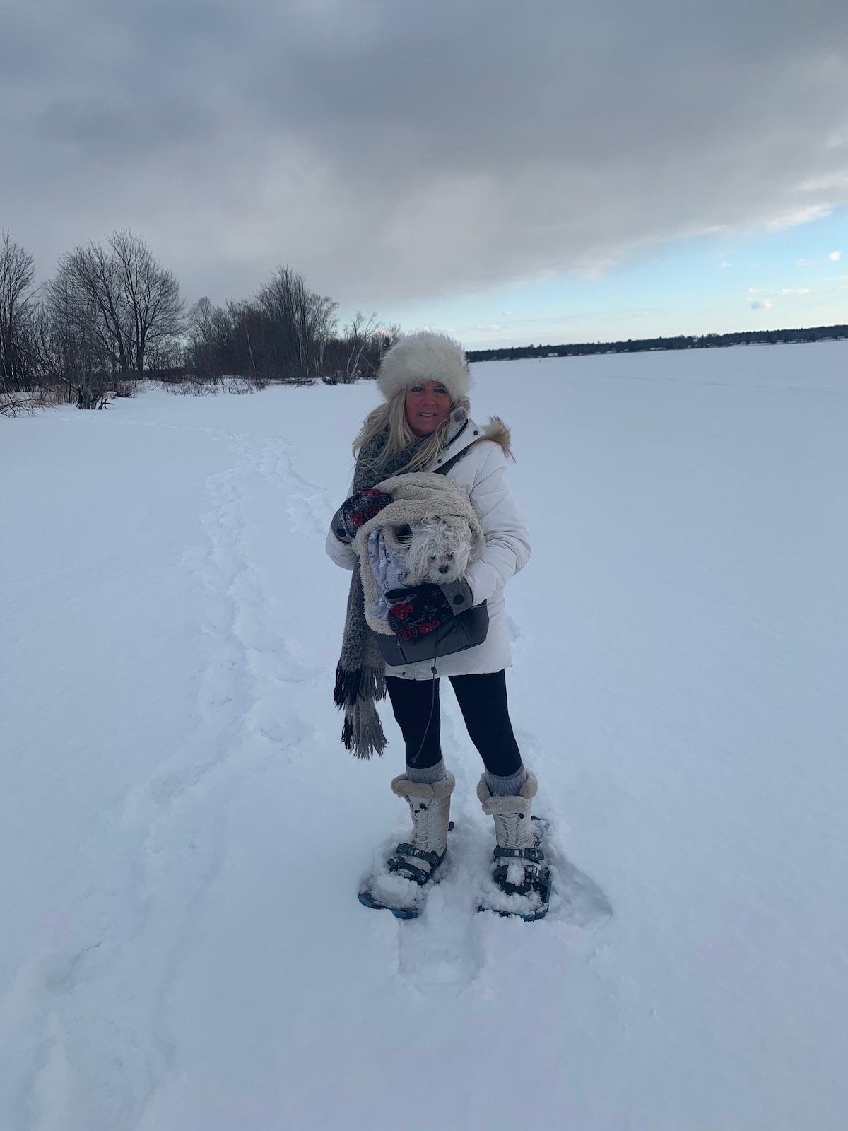 从苏必利尔湖（ Lake Superior ）后面坐落在北小木屋