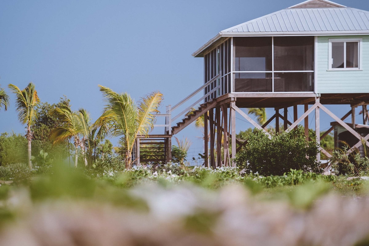 Barbuda Cottages 2 bed ( Green ) Beachfront Villa