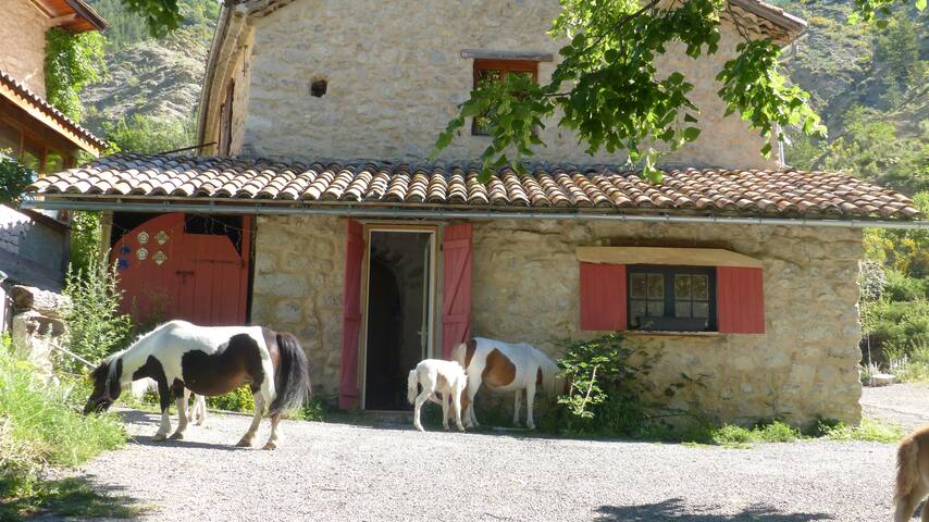 Saint-Auban-d'Oze的民宿