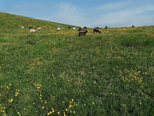 「Fossés」农场的舒适住宿加早餐