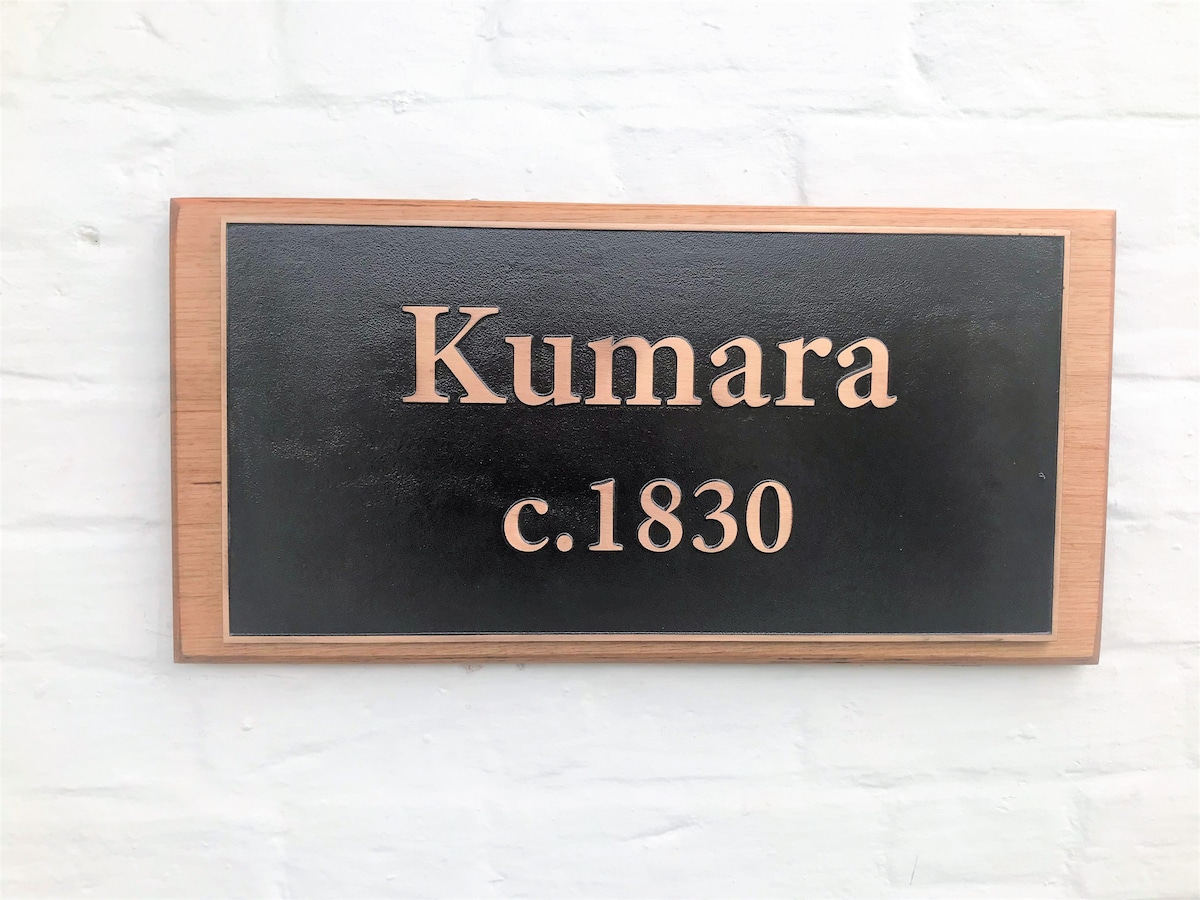 Unique apartment in historic building "Kumara"