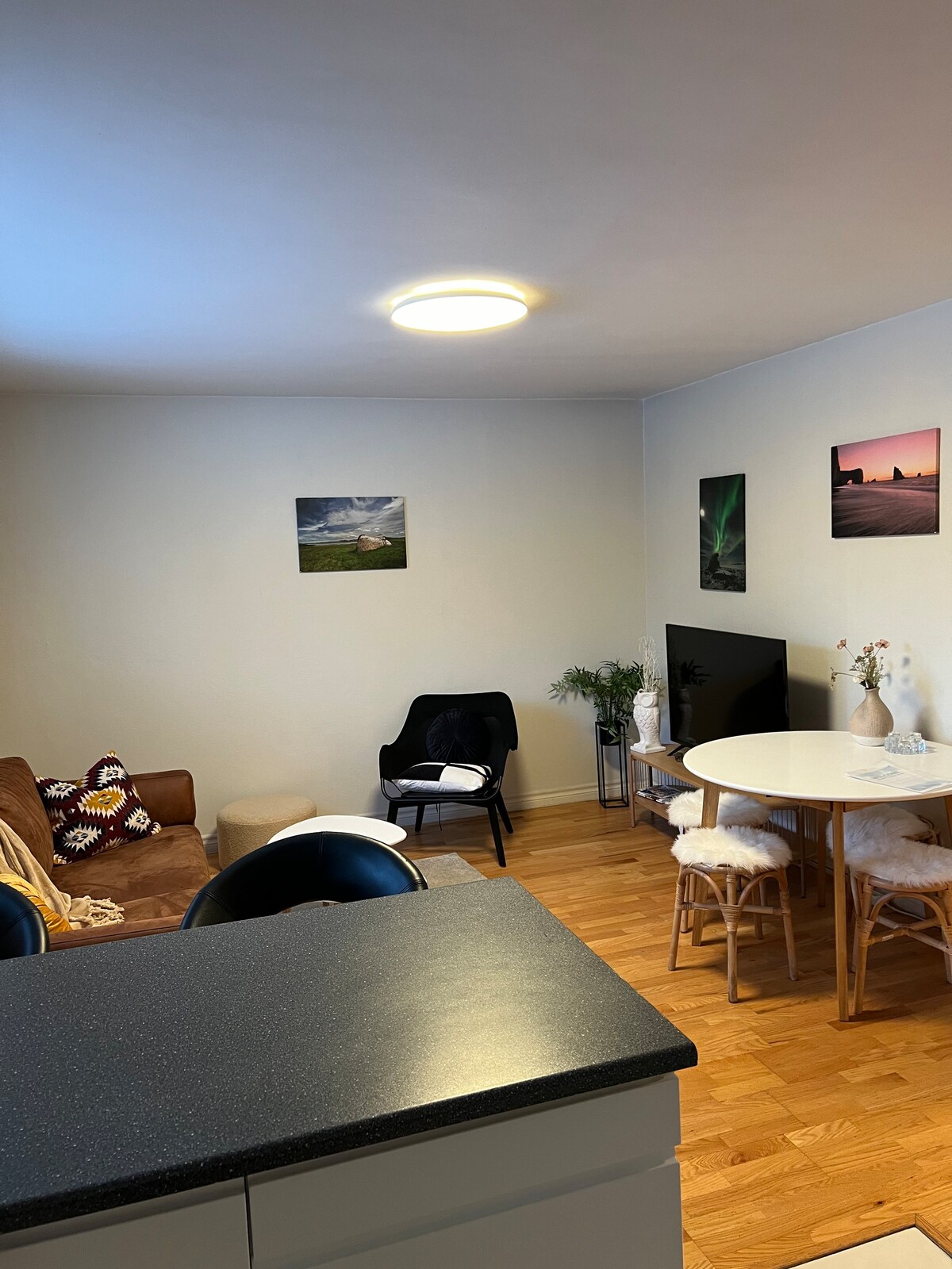 2 Bedroom Apartment in Downtown Reykjavik.