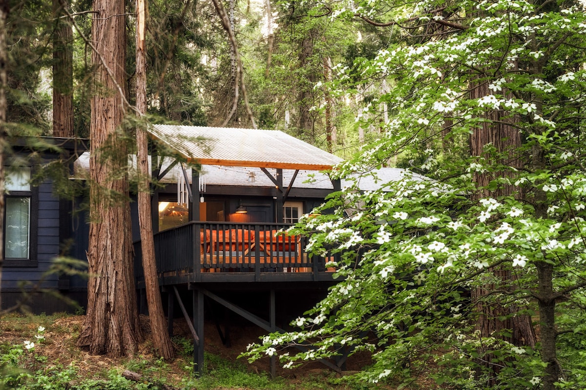 Secluded modern creekside cabin