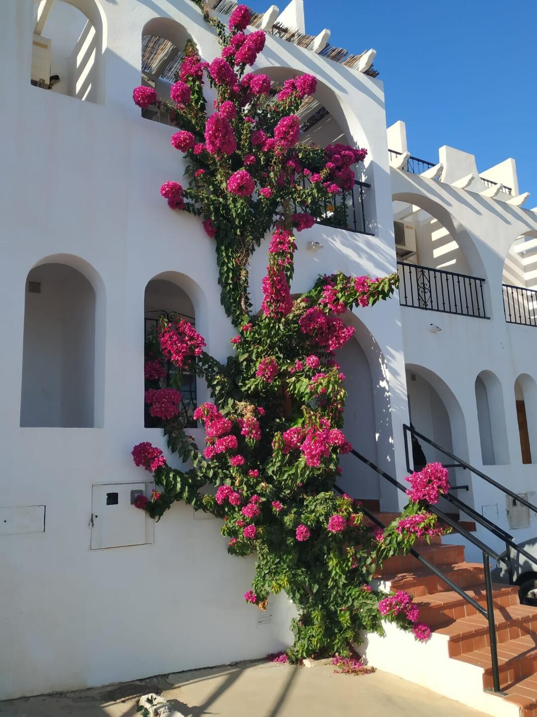 Casa la Buganvilla-Mojácar Playa