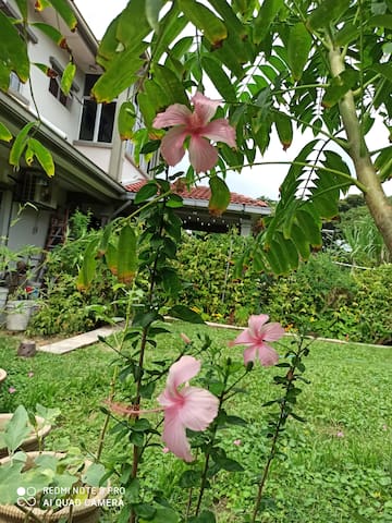 巴生(Klang)的民宿