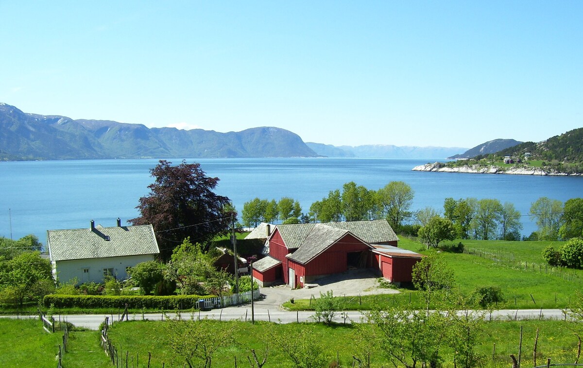Sognefjord旁的舒适农舍