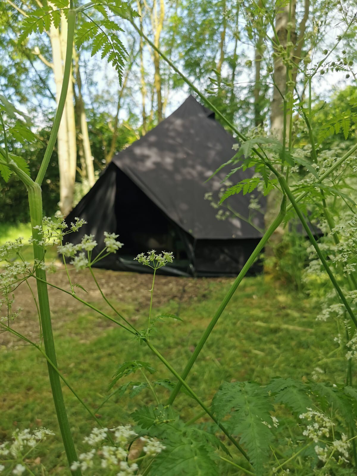 风景如画的林地内的豪华黑钟形帐篷