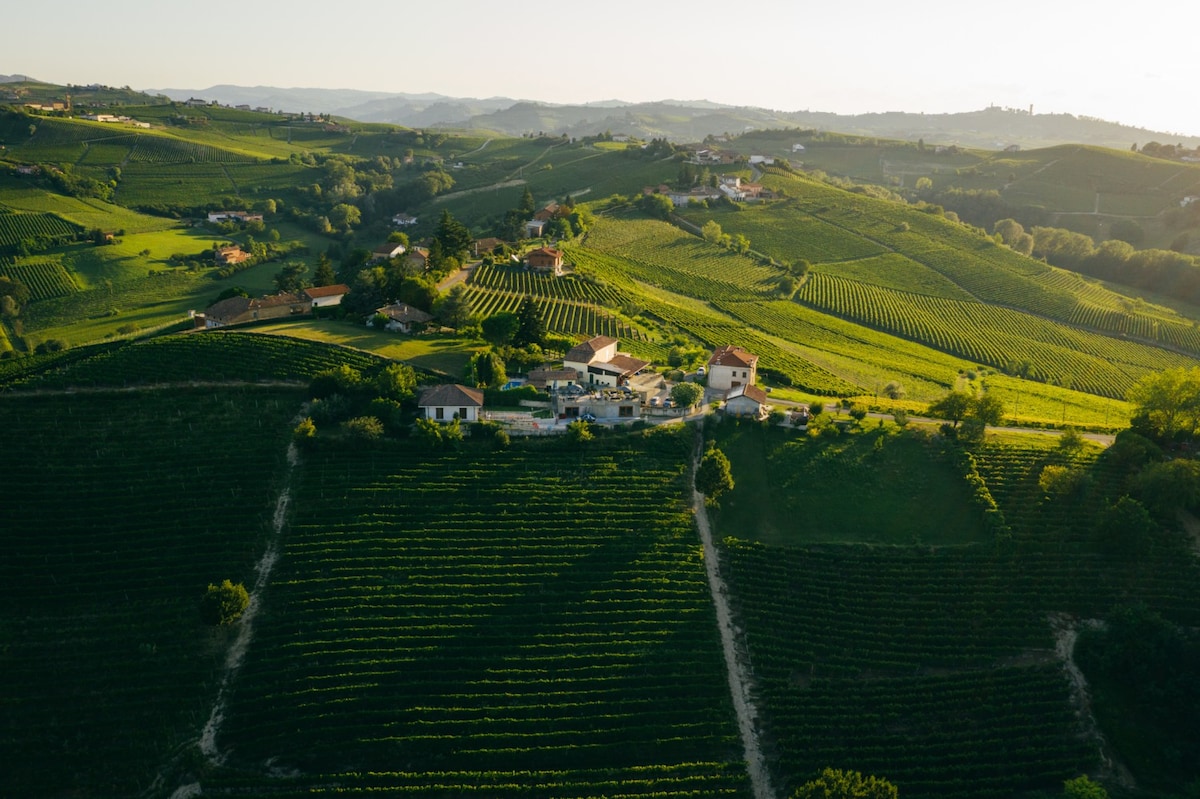 Vingård i Piemonte med oslagbar utsikt och pool