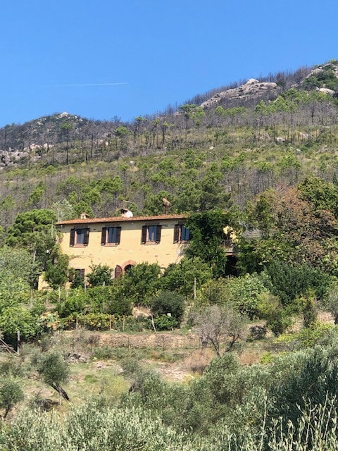 17th Century  converted convent  with olive grove