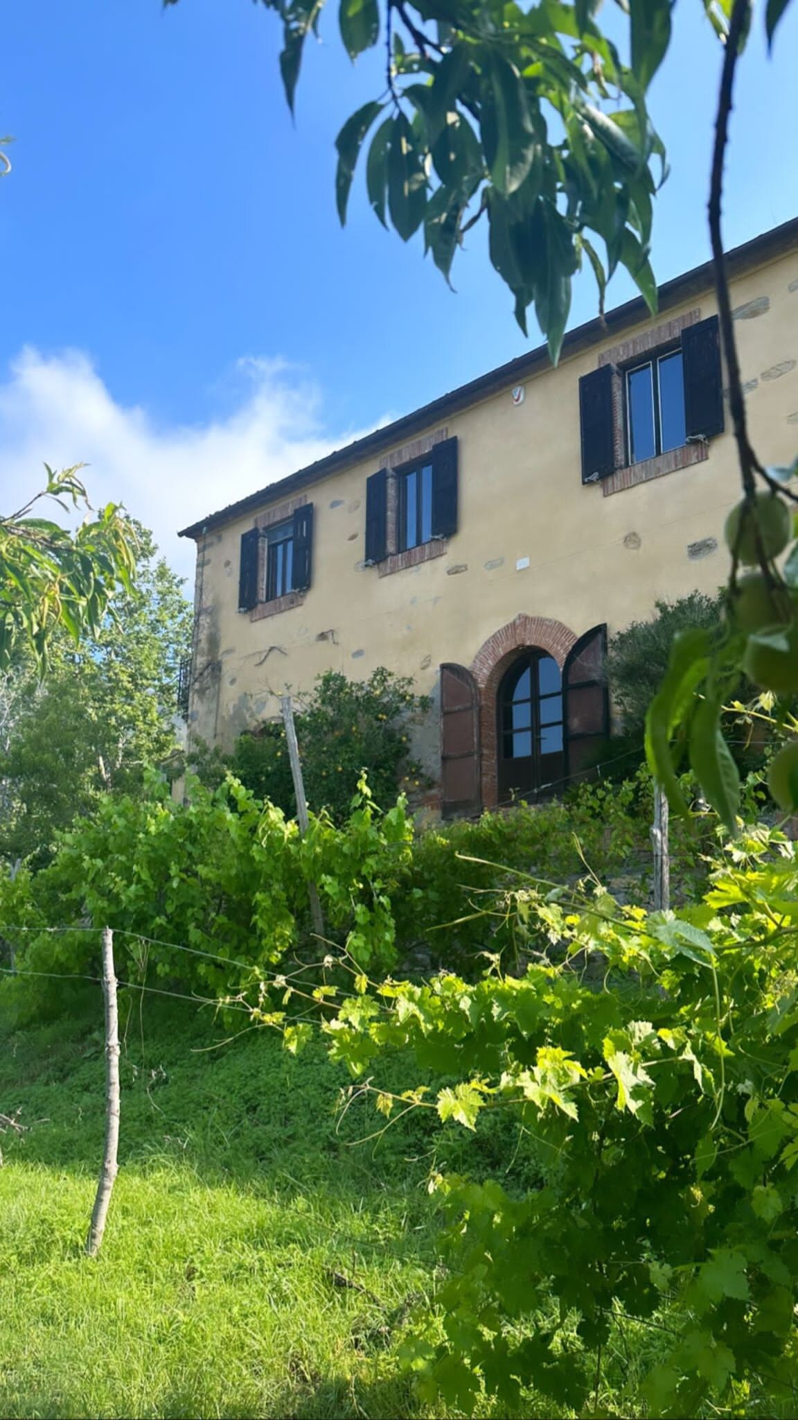 17th Century  converted convent  with olive grove