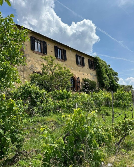 17th Century  converted convent  with olive grove