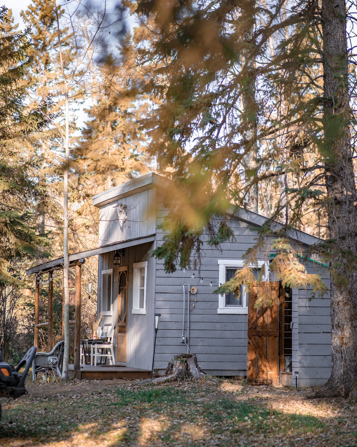 Tiny Home Cabin